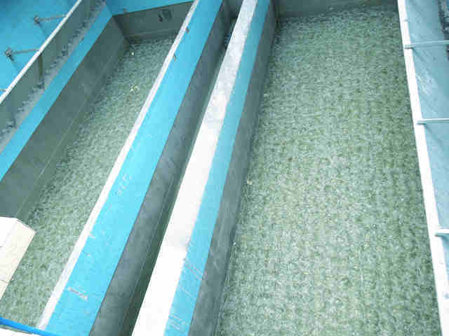 High-precision filter plate